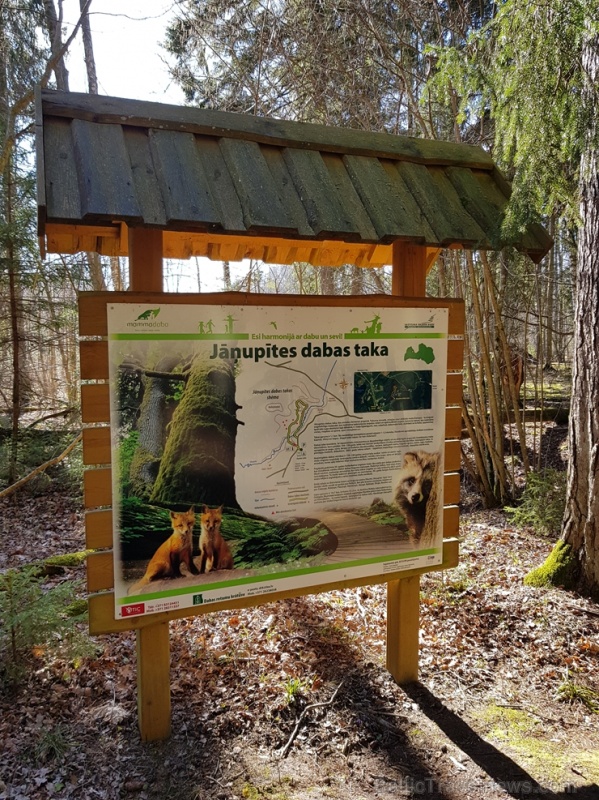 Staigājot pa taku, ir iespējams aplūkot augu, sūnu, ķērpju un kukaiņu daudzveidību, dižkokus, Jāņupītes stāvkrastu, kā arī novērtēt 2005. gada orkāna Staigājot pa taku, ir iespējams aplūkot augu, sūnu, ķērpju un kukaiņu daudzveidību, dižkokus, Jāņupītes stāvkrastu, kā arī novērtēt 2005. gada orkāna 280143