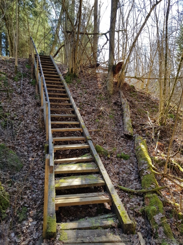 Staigājot pa taku, ir iespējams aplūkot augu, sūnu, ķērpju un kukaiņu daudzveidību, dižkokus, Jāņupītes stāvkrastu, kā arī novērtēt 2005. gada orkāna Staigājot pa taku, ir iespējams aplūkot augu, sūnu, ķērpju un kukaiņu daudzveidību, dižkokus, Jāņupītes stāvkrastu, kā arī novērtēt 2005. gada orkāna 280144