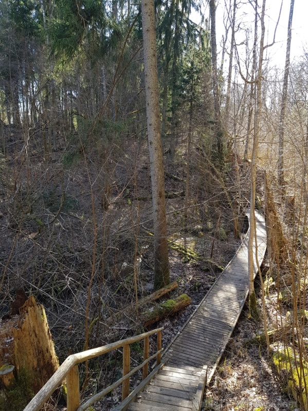 Staigājot pa taku, ir iespējams aplūkot augu, sūnu, ķērpju un kukaiņu daudzveidību, dižkokus, Jāņupītes stāvkrastu, kā arī novērtēt 2005. gada orkāna Staigājot pa taku, ir iespējams aplūkot augu, sūnu, ķērpju un kukaiņu daudzveidību, dižkokus, Jāņupītes stāvkrastu, kā arī novērtēt 2005. gada orkāna 280145