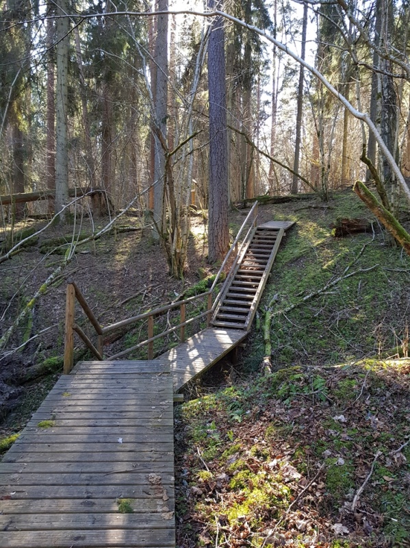 Staigājot pa taku, ir iespējams aplūkot augu, sūnu, ķērpju un kukaiņu daudzveidību, dižkokus, Jāņupītes stāvkrastu, kā arī novērtēt 2005. gada orkāna Staigājot pa taku, ir iespējams aplūkot augu, sūnu, ķērpju un kukaiņu daudzveidību, dižkokus, Jāņupītes stāvkrastu, kā arī novērtēt 2005. gada orkāna 280146