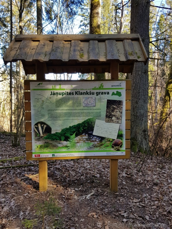 Staigājot pa taku, ir iespējams aplūkot augu, sūnu, ķērpju un kukaiņu daudzveidību, dižkokus, Jāņupītes stāvkrastu, kā arī novērtēt 2005. gada orkāna Staigājot pa taku, ir iespējams aplūkot augu, sūnu, ķērpju un kukaiņu daudzveidību, dižkokus, Jāņupītes stāvkrastu, kā arī novērtēt 2005. gada orkāna 280150