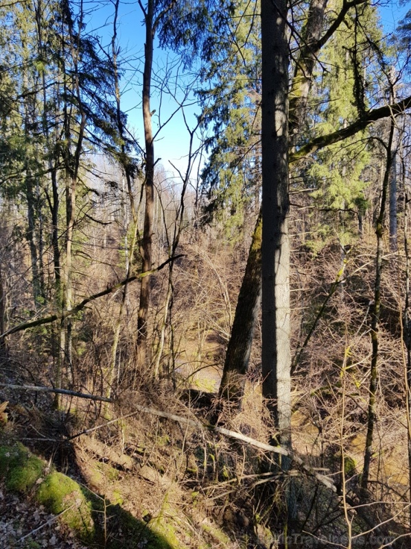 Staigājot pa taku, ir iespējams aplūkot augu, sūnu, ķērpju un kukaiņu daudzveidību, dižkokus, Jāņupītes stāvkrastu, kā arī novērtēt 2005. gada orkāna Staigājot pa taku, ir iespējams aplūkot augu, sūnu, ķērpju un kukaiņu daudzveidību, dižkokus, Jāņupītes stāvkrastu, kā arī novērtēt 2005. gada orkāna 280151