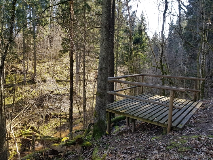 Staigājot pa taku, ir iespējams aplūkot augu, sūnu, ķērpju un kukaiņu daudzveidību, dižkokus, Jāņupītes stāvkrastu, kā arī novērtēt 2005. gada orkāna Staigājot pa taku, ir iespējams aplūkot augu, sūnu, ķērpju un kukaiņu daudzveidību, dižkokus, Jāņupītes stāvkrastu, kā arī novērtēt 2005. gada orkāna 280152