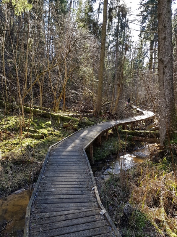 Staigājot pa taku, ir iespējams aplūkot augu, sūnu, ķērpju un kukaiņu daudzveidību, dižkokus, Jāņupītes stāvkrastu, kā arī novērtēt 2005. gada orkāna Staigājot pa taku, ir iespējams aplūkot augu, sūnu, ķērpju un kukaiņu daudzveidību, dižkokus, Jāņupītes stāvkrastu, kā arī novērtēt 2005. gada orkāna 280155