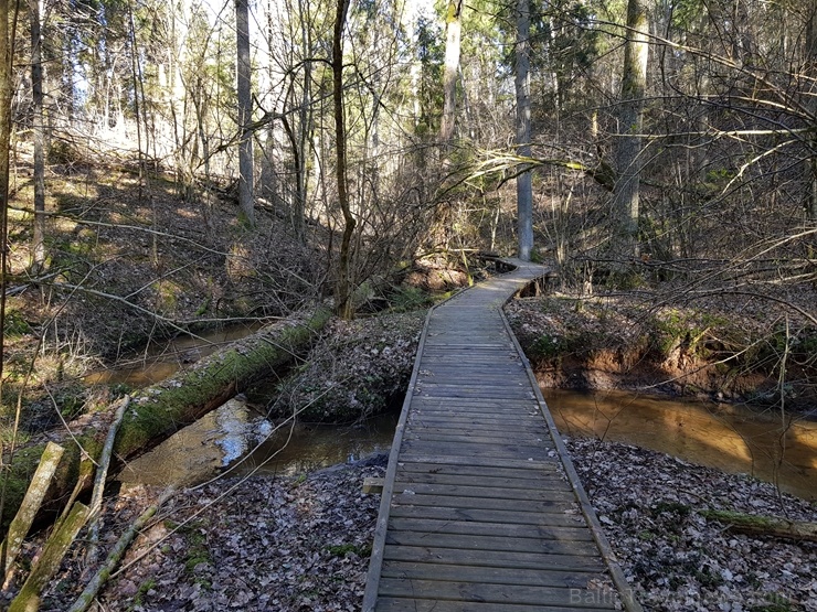 Staigājot pa taku, ir iespējams aplūkot augu, sūnu, ķērpju un kukaiņu daudzveidību, dižkokus, Jāņupītes stāvkrastu, kā arī novērtēt 2005. gada orkāna Staigājot pa taku, ir iespējams aplūkot augu, sūnu, ķērpju un kukaiņu daudzveidību, dižkokus, Jāņupītes stāvkrastu, kā arī novērtēt 2005. gada orkāna 280156