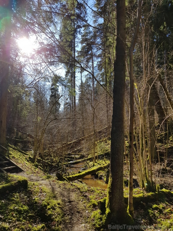 Staigājot pa taku, ir iespējams aplūkot augu, sūnu, ķērpju un kukaiņu daudzveidību, dižkokus, Jāņupītes stāvkrastu, kā arī novērtēt 2005. gada orkāna Staigājot pa taku, ir iespējams aplūkot augu, sūnu, ķērpju un kukaiņu daudzveidību, dižkokus, Jāņupītes stāvkrastu, kā arī novērtēt 2005. gada orkāna 280157