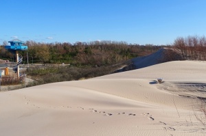 Ventspils ziedoši sagaida pavasari 13