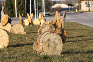 Gulbene Lieldienu laikā ir saulaini izrotāta 9