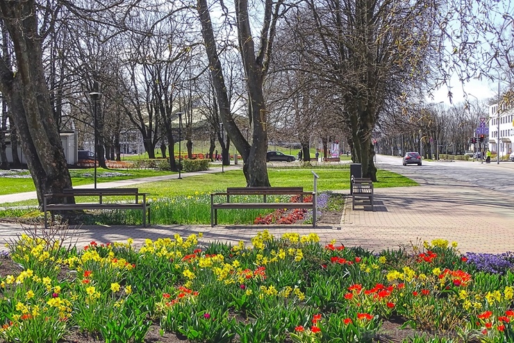 Ventspils modusies košajam pavasara ziedonim 281623