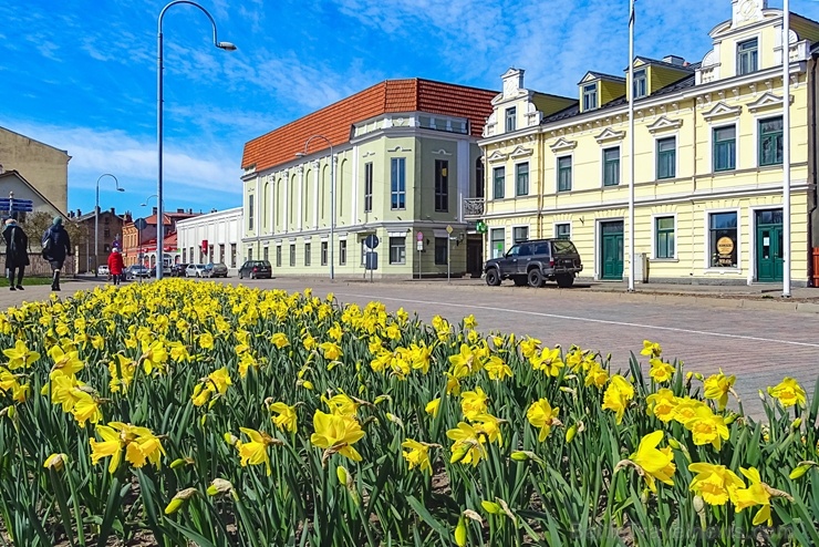 Ventspils modusies košajam pavasara ziedonim 281632