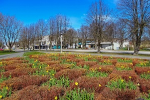 Ventspils modusies košajam pavasara ziedonim 8