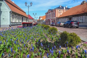 Ventspils modusies košajam pavasara ziedonim 30