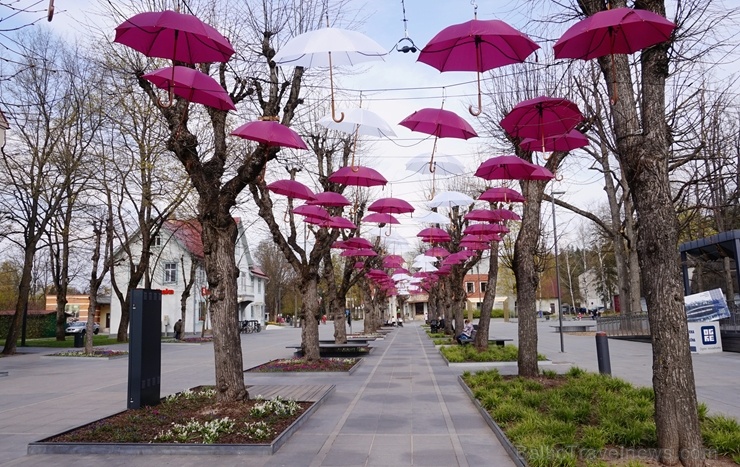 Šogad Brīvības ielu Ogrē rotā ne tikai valsts karogi, bet arī ar sarkaniem un baltiem lietussargiem izdekorēta liepu aleja Šogad Brīvības ielu Ogrē rotā ne tikai valsts karogi, bet arī ar sarkaniem un baltiem lietussargiem izdekorēta liepu aleja 281727