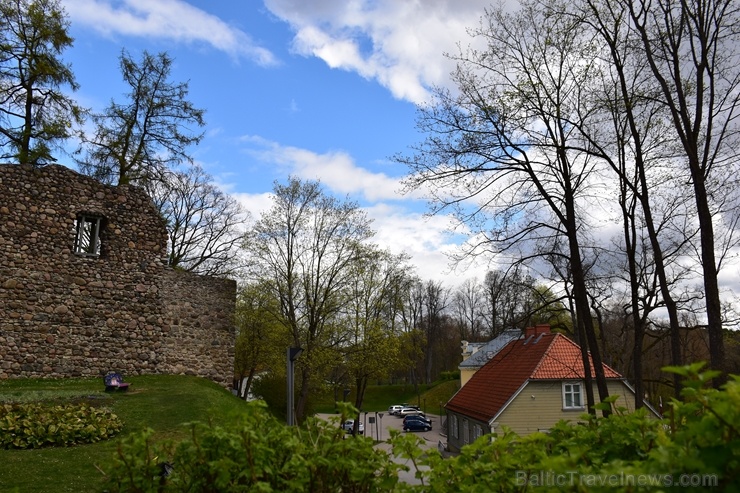 Valmierā Gaujas krastus izdaiļo saulainas pienenes un koku sulīgi zaļie pumpuri, bet parkos savas košās ziedgalviņas cēli ceļ tulpes un atraitnītes Valmierā Gaujas krastus izdaiļo saulainas pienenes un koku sulīgi zaļie pumpuri, bet parkos savas košās ziedgalviņas cēli ceļ tulpes un atraitnītes 282249
