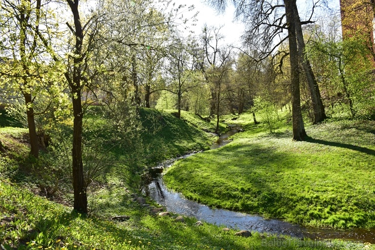Valmierā Gaujas krastus izdaiļo saulainas pienenes un koku sulīgi zaļie pumpuri, bet parkos savas košās ziedgalviņas cēli ceļ tulpes un atraitnītes Valmierā Gaujas krastus izdaiļo saulainas pienenes un koku sulīgi zaļie pumpuri, bet parkos savas košās ziedgalviņas cēli ceļ tulpes un atraitnītes 282252