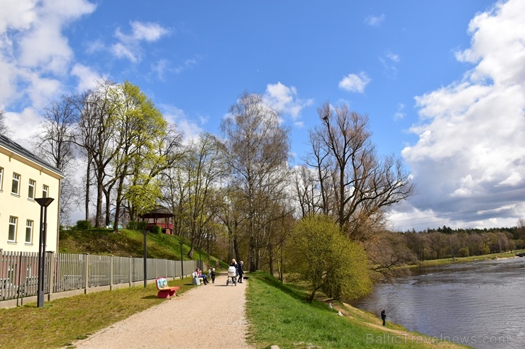 Valmierā Gaujas krastus izdaiļo saulainas pienenes un koku sulīgi zaļie pumpuri, bet parkos savas košās ziedgalviņas cēli ceļ tulpes un atraitnītes Valmierā Gaujas krastus izdaiļo saulainas pienenes un koku sulīgi zaļie pumpuri, bet parkos savas košās ziedgalviņas cēli ceļ tulpes un atraitnītes 282256
