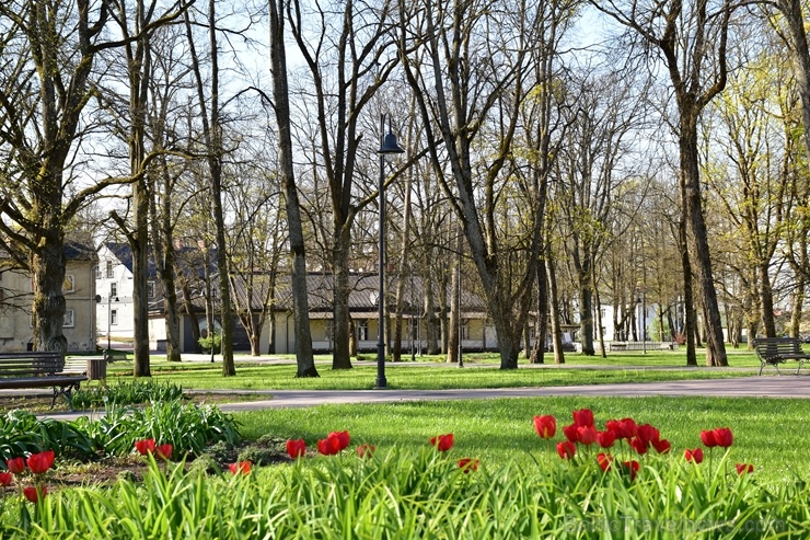 Valmierā Gaujas krastus izdaiļo saulainas pienenes un koku sulīgi zaļie pumpuri, bet parkos savas košās ziedgalviņas cēli ceļ tulpes un atraitnītes Valmierā Gaujas krastus izdaiļo saulainas pienenes un koku sulīgi zaļie pumpuri, bet parkos savas košās ziedgalviņas cēli ceļ tulpes un atraitnītes 282258