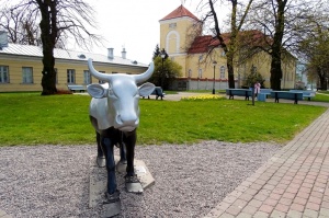 Ventspils Livonijas ordeņa pils ieskauta pavasara ziedos 6