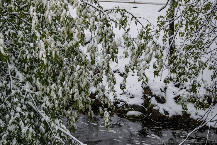 Preiļos vērojamas pārsteidzošas dabas spēles 282439