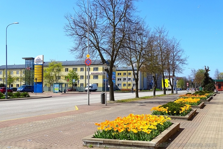 Ventspils ietērpta neskaitāmos pavasara ziedos 282482