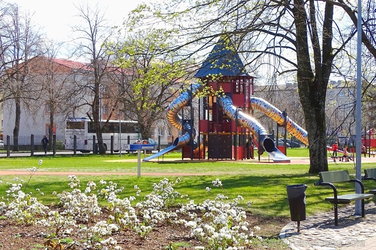 Ventspils ietērpta neskaitāmos pavasara ziedos 282496