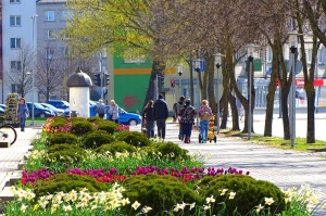 Ventspils ietērpta neskaitāmos pavasara ziedos 14