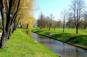 Ventspils ietērpta neskaitāmos pavasara ziedos 26