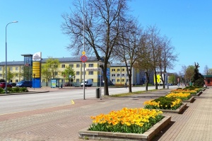 Ventspils ietērpta neskaitāmos pavasara ziedos 36