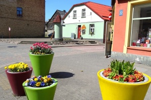 Ventspils ietērpta neskaitāmos pavasara ziedos 45