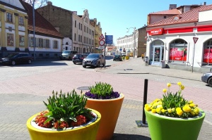 Ventspils ietērpta neskaitāmos pavasara ziedos 46