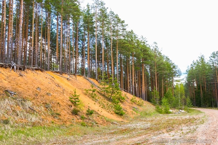 Maršruts Gulbenes pusē veido apli ar sākumu un finišu Lejasciemā, vedot caur dabas liegumu 