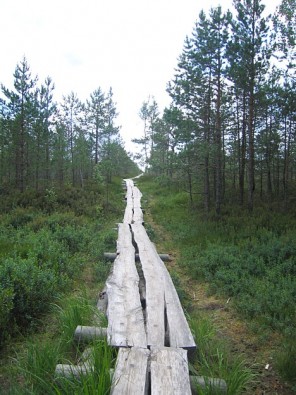 2,8 km garo laipu veido 900 apšu dēļi. Laipa tika izveidota 2000.gadā par Rozmarijas Ā. Smitas (Apvienotā Karaliste) dāvātajiem līdzekļiem 2,8 km garo laipu veido 900 apšu dēļi. Laipa tika izveidota 2000.gadā par Rozmarijas Ā. Smitas (Apvienotā Karaliste) dāvātajiem līdzekļiem 15274