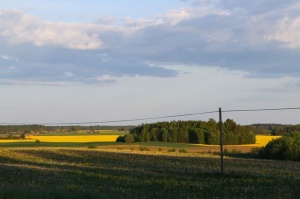 Gulbenes novada daba rotājas vasarīgas krāsās 8