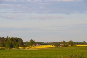 Gulbenes novada daba rotājas vasarīgas krāsās 14