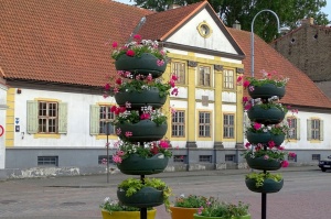 Ventspils vasarā krāšņi zied un žilbina acis 23