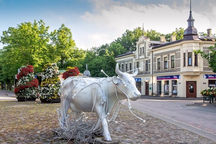 Ventspilī košos ziedos rotājas ikkatra pilsētas iela 285832