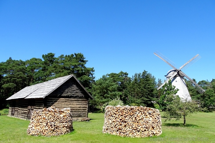 Ventspils Brīvdabas muzeju jūlijā ieskauj reibinoša liepziedu smarža 286210