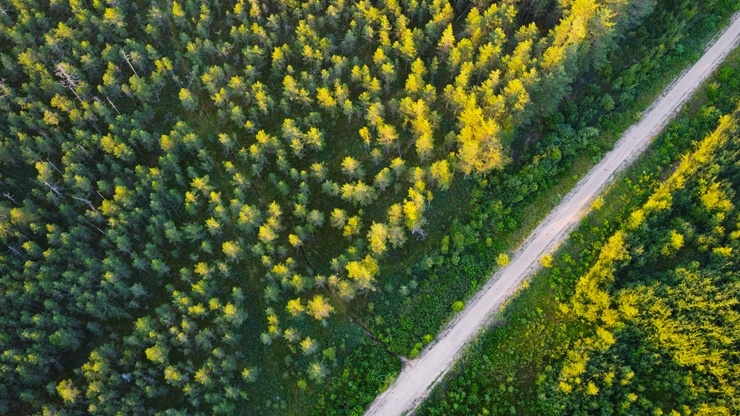 Gulbene ceļotājiem atklāj sava novada pērles 288225