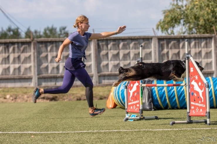 Starptautiskajās suņu sporta – adžiliti sacensībās 