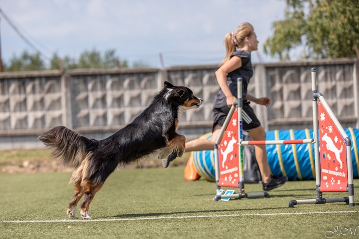 Starptautiskajās suņu sporta – adžiliti sacensībās 