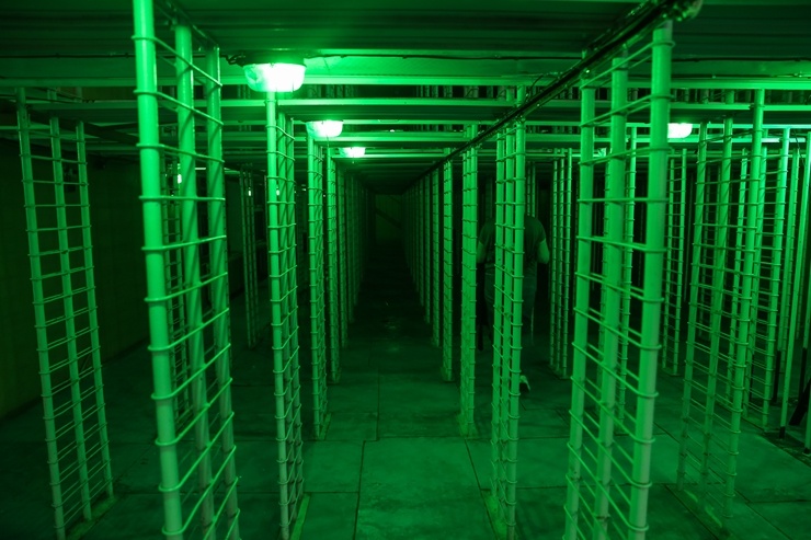 «Baltā nakts» izgaismo Rīgu ar iespaidīgām gaismas instalācijām 290564