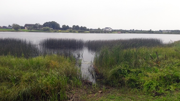 Salaspils novads iepazīstina Travelnews.lv lasītājus ar Doles tējām un Daugavas muzeju. Foto: Sintija Sondore, Laura Siliņa, Ieva Tumana Salaspils novads iepazīstina Travelnews.lv lasītājus ar Doles tējām un Daugavas muzeju. Foto: Sintija Sondore, Laura Siliņa, Ieva Tumana 291067