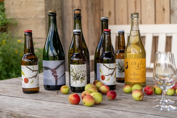 Latvijas amata sidri tiks pārstāvēti ASV lielākajā sidra konferencē «CiderCon2025» Čikāgā