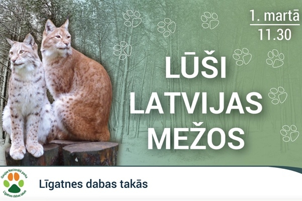 Lūšu diena Līgatnes dabas takās