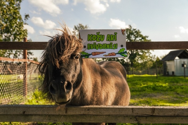 Viena diena Pļaviņu apvienībā – piedzīvojums visai ģimenei!