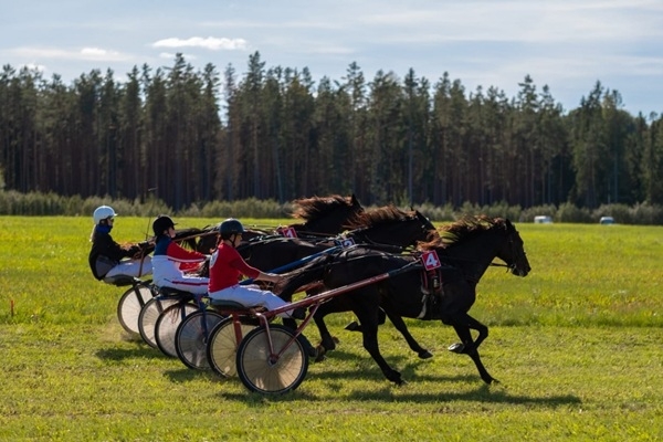 Augusta brīvdienu notikumi Balvu novadā