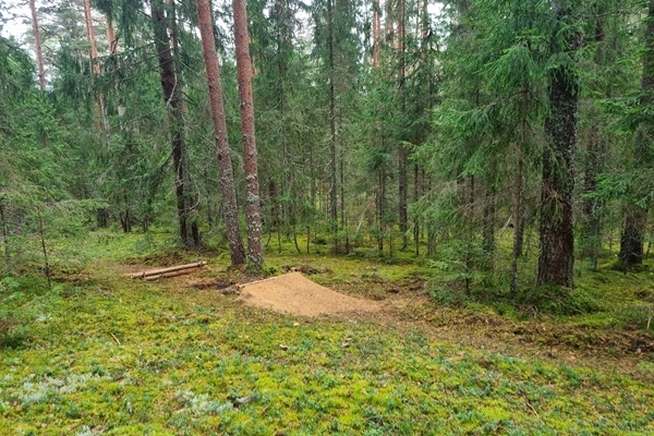 Gaujas Nacionālajā parkā konstatē nelikumīgu kalnu nobraucienu trasi 