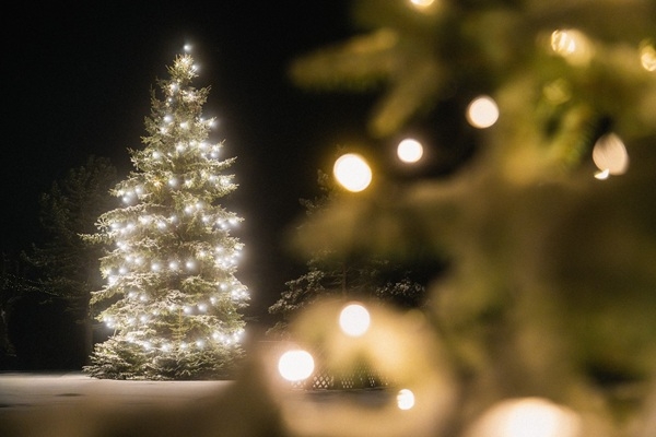 Dienvidkurzemes novadā iedegsies Ziemassvētku galvenās egles