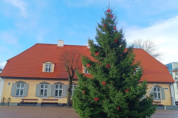 Ventspilī iedzīvotāji dāvina pilsētai skaistākās svētku egles 