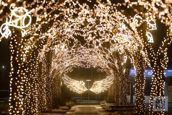 Ogres novadā svinīgi tika iedegtas Ziemassvētku egles